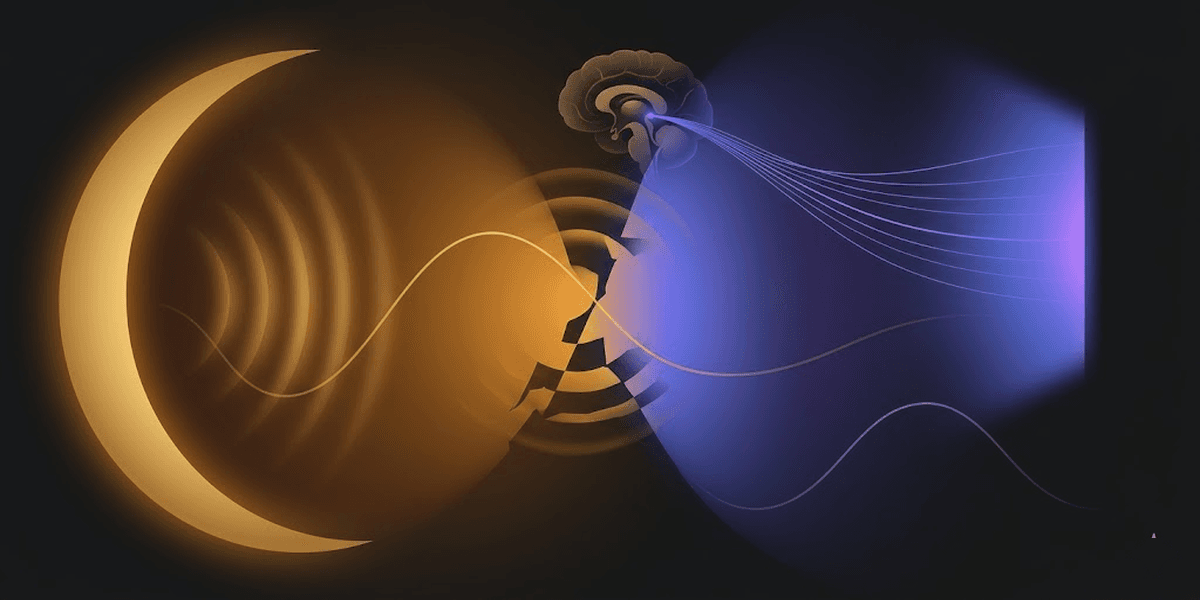 Blue light, melatonin, and the menstrual cycle: why biological night matters